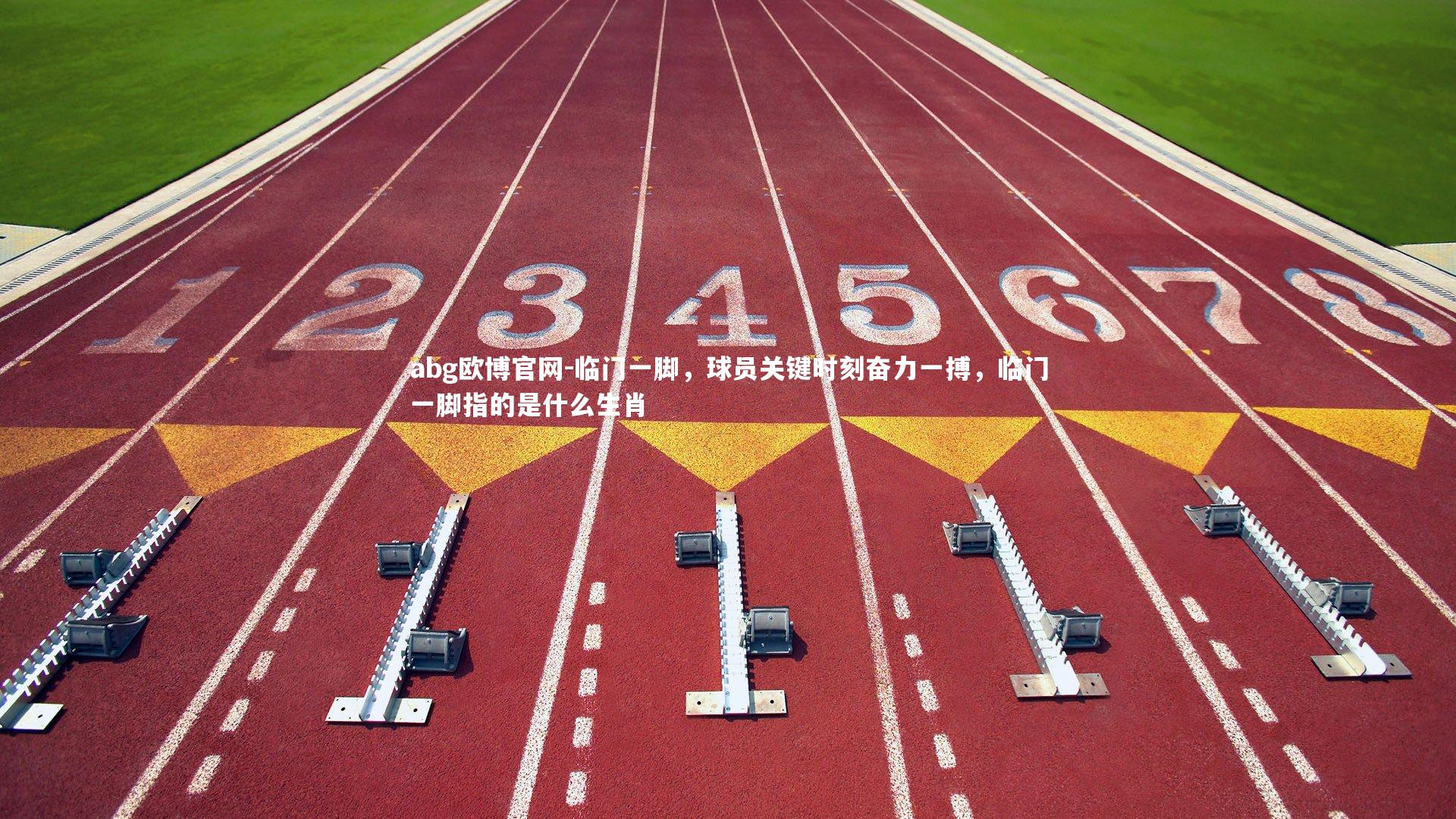 临门一脚，球员关键时刻奋力一搏，临门一脚指的是什么生肖