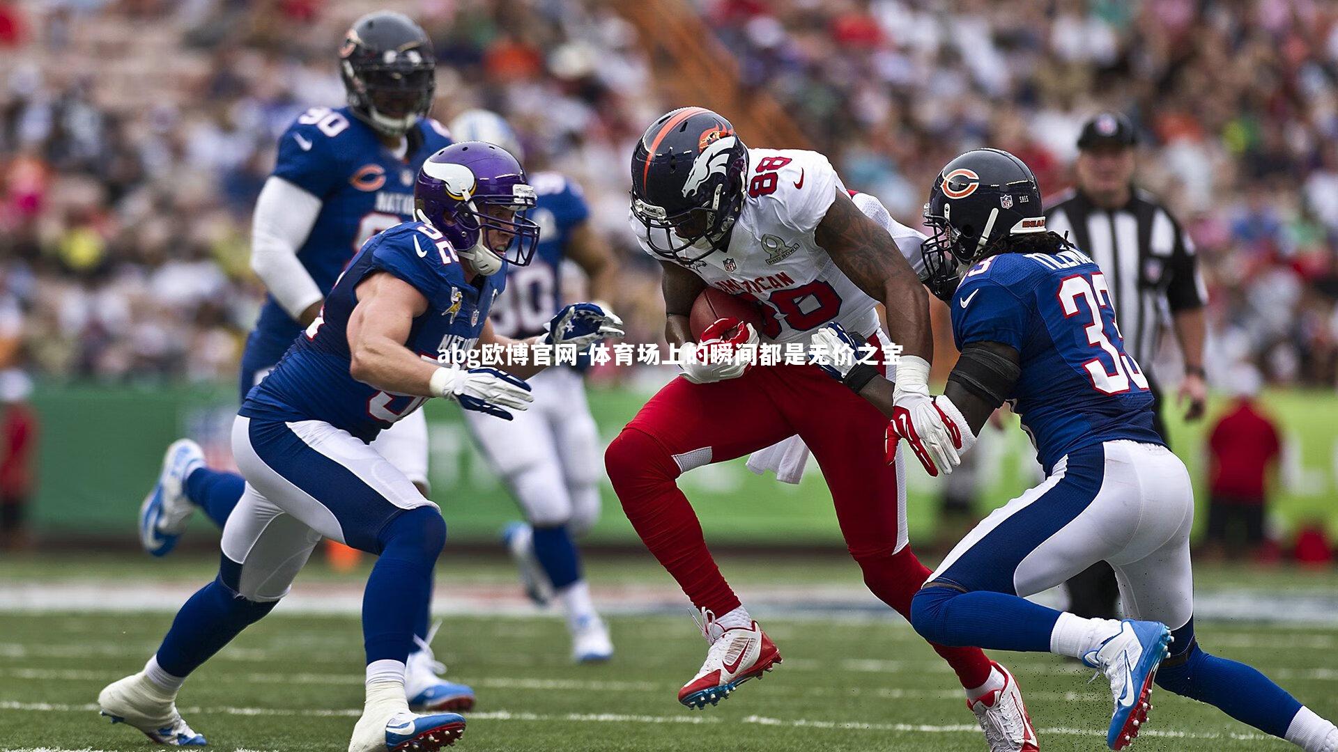 体育场上的瞬间都是无价之宝