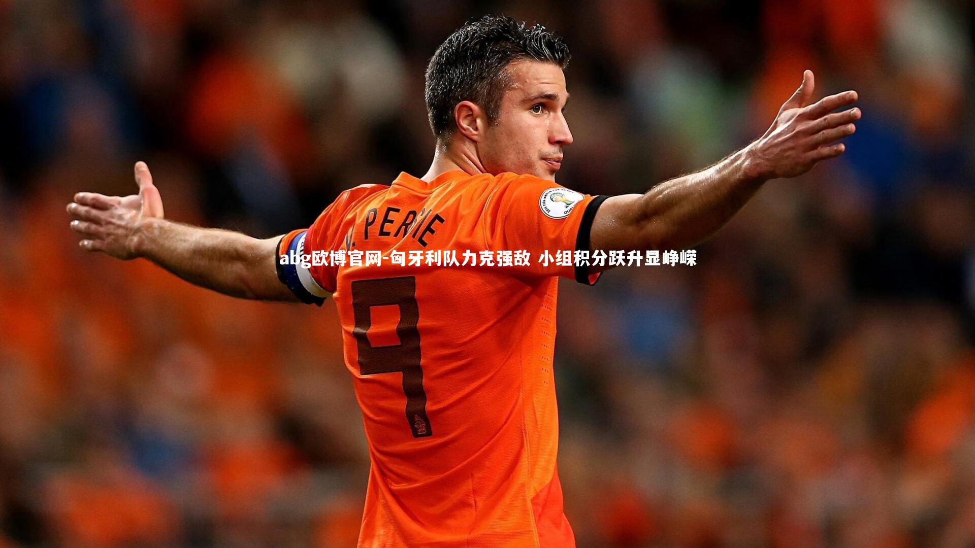 匈牙利队力克强敌 小组积分跃升显峥嵘