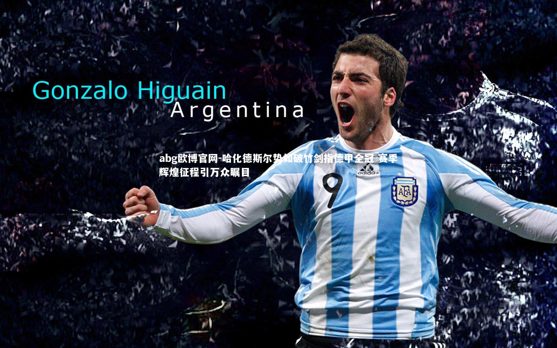 哈化德斯尔势如破竹剑指德甲全冠 赛季辉煌征程引万众瞩目